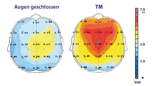 Ruhevolle Wachheit während der TM